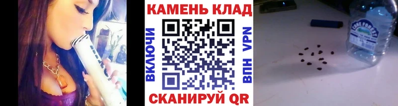ГАШ хэш Медвежьегорск