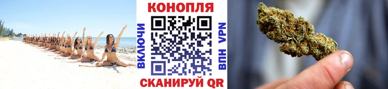 блэк спрут как войти  Медвежьегорск  Марихуана тримм  наркота 